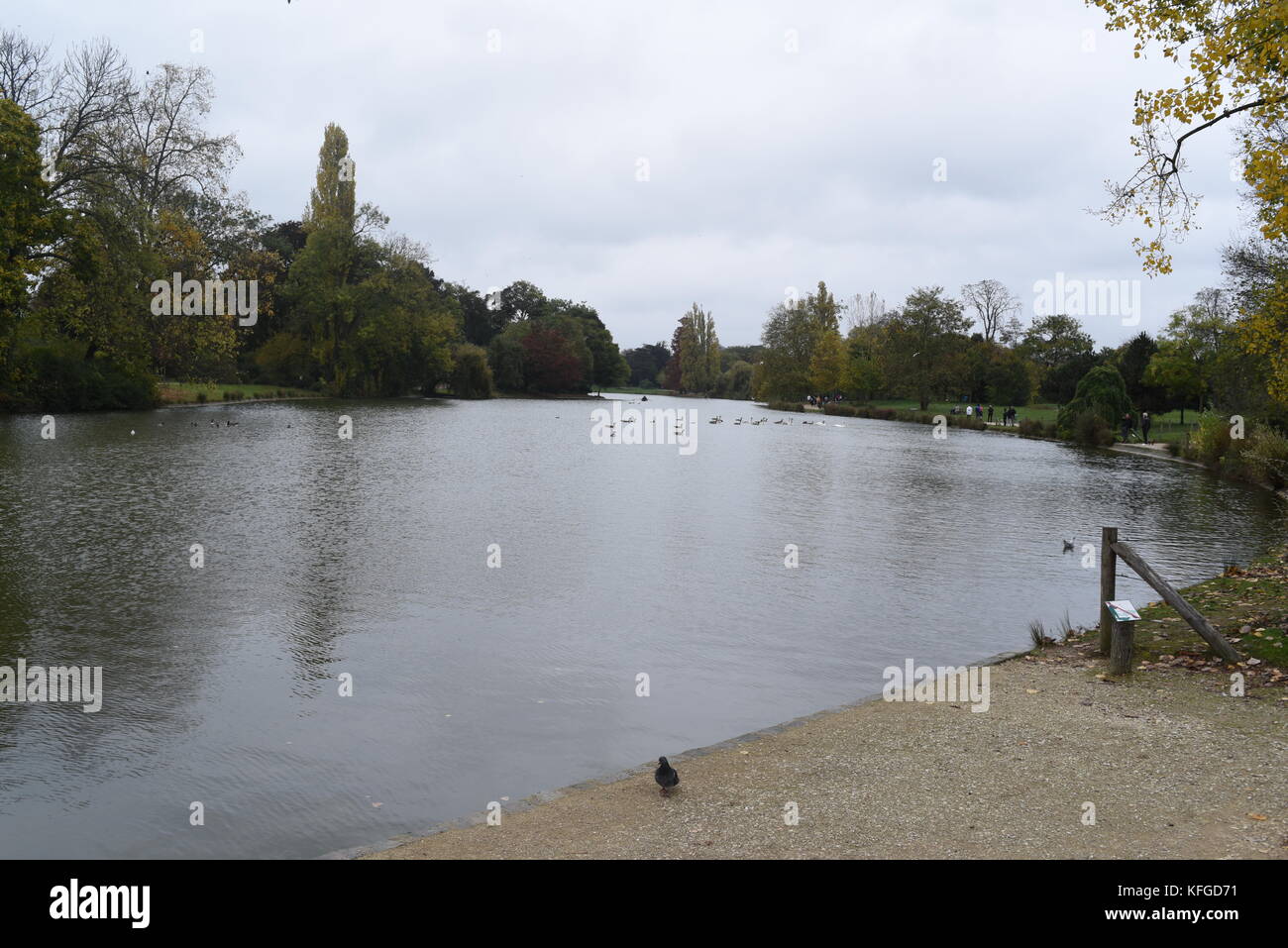 Paysage - bois de Vincennes, à Paris, France Banque D'Images