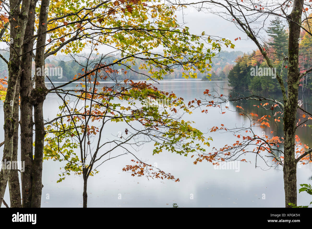 Un matin d'automne brumeux calme sur le réservoir de Waterbury, Vermont waterbury. Banque D'Images