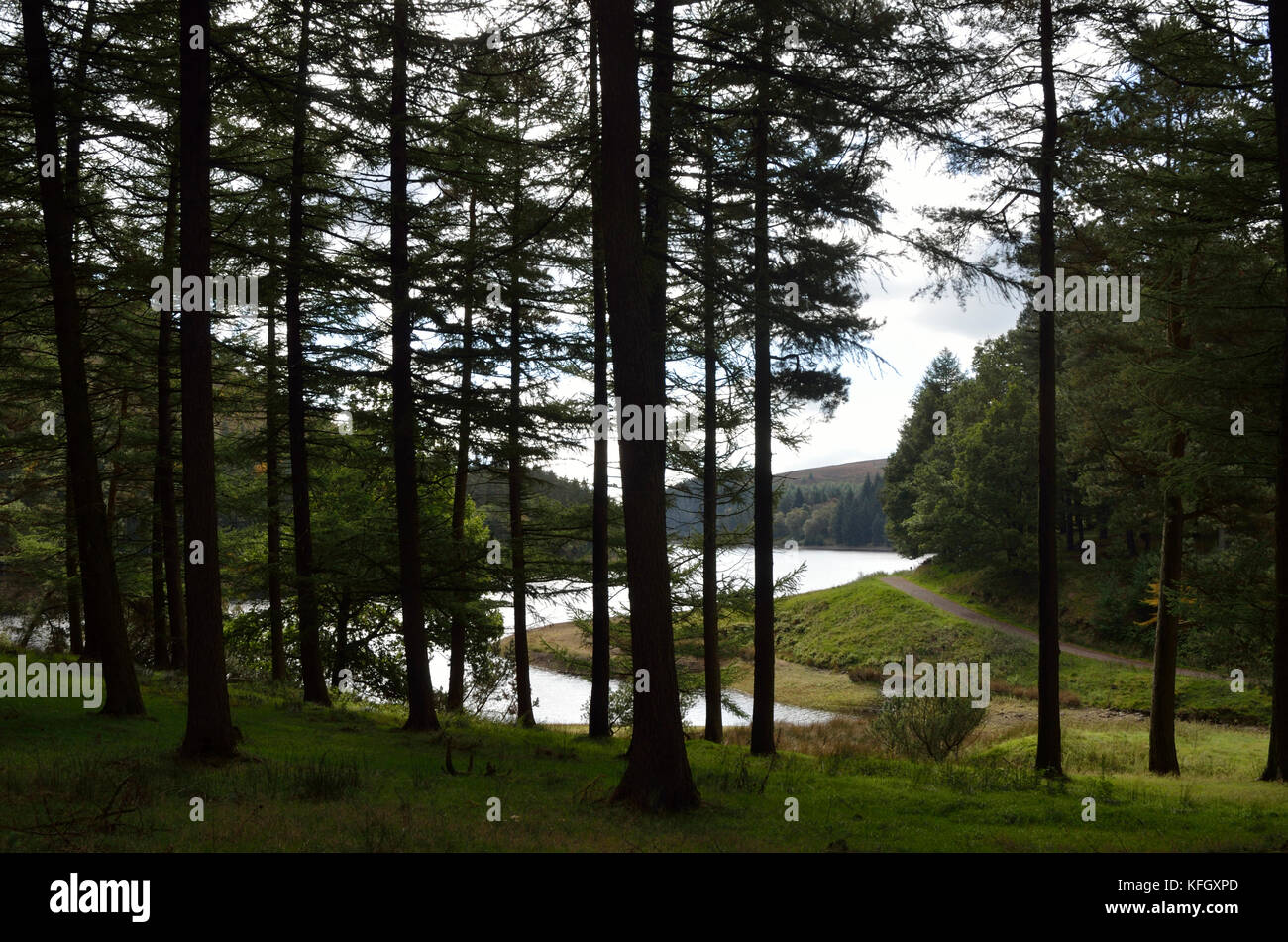 Réservoir de Howden, Derwent Valley, North Derbyshire, Sheffield, England, UK Royaume-Uni, Europe. Banque D'Images