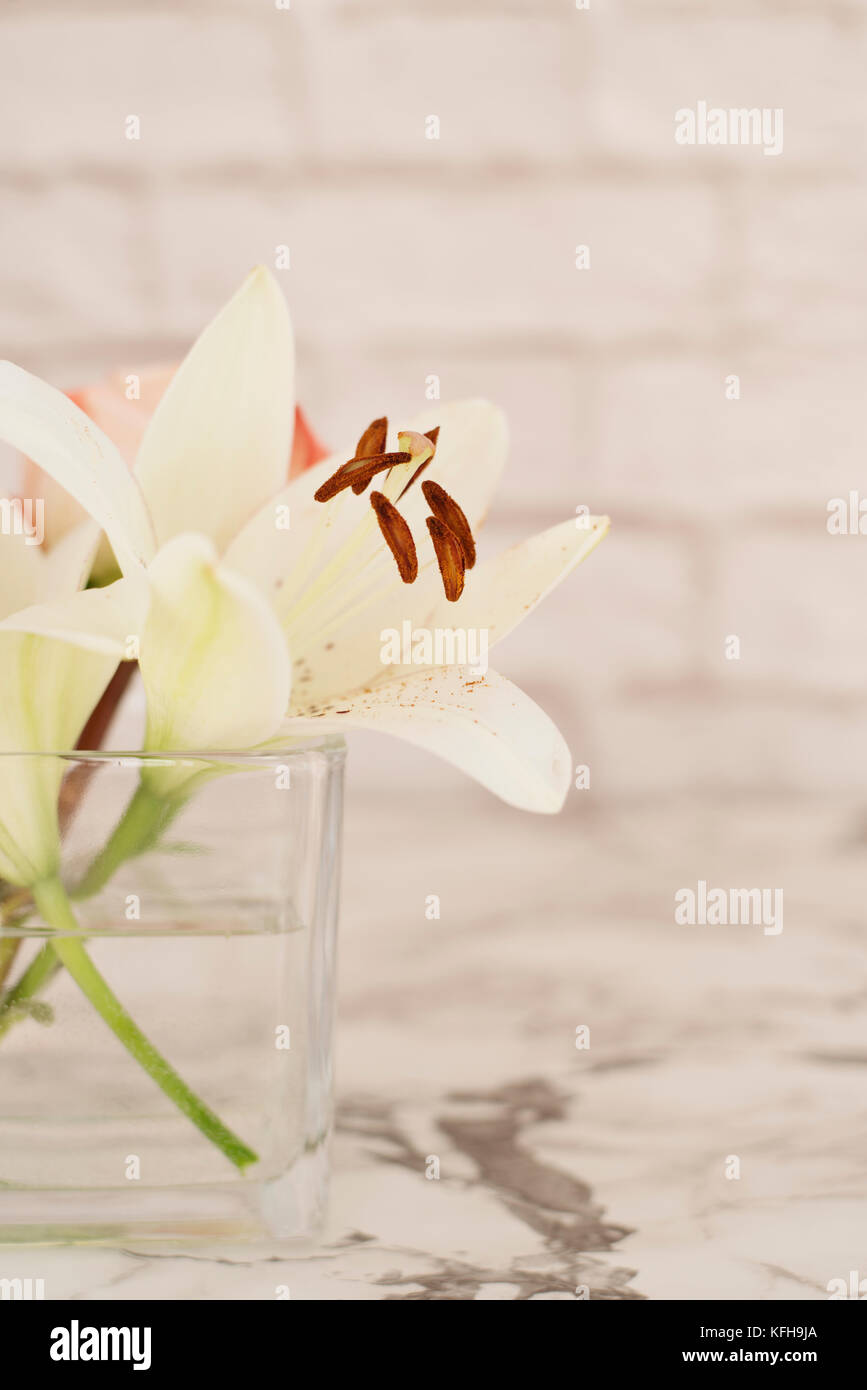 Lys blanc fleur dans un vase de verre Banque D'Images