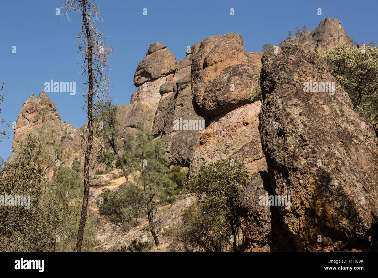 Pinnacles National Park, Californie Banque D'Images