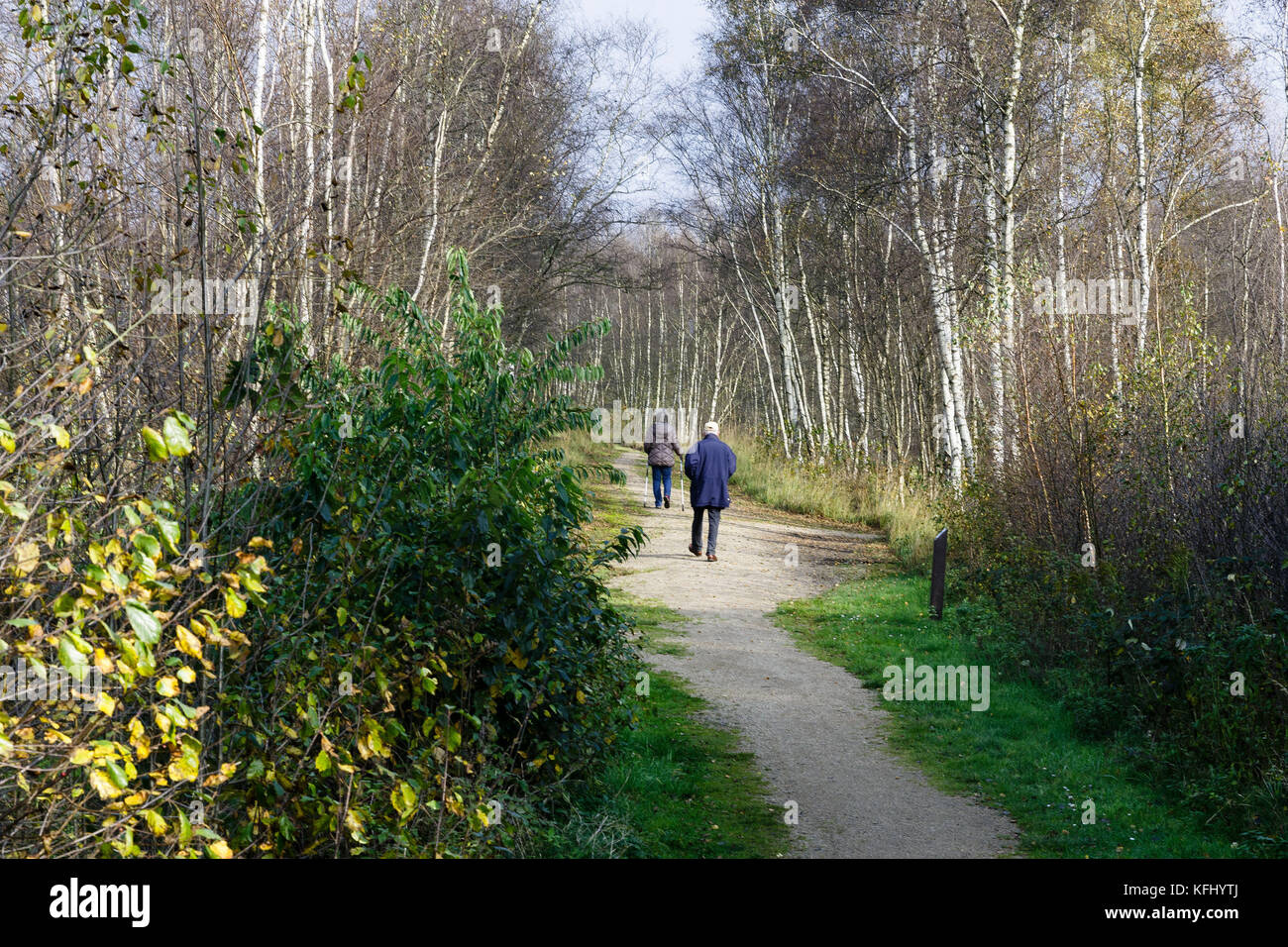 Quickborn, Allemagne. 19 octobre 2017. La zone de tourbe de Quickborn, Allemagne, 19 octobre 2017. La production de tourbe dans la région devrait prendre fin avant 2020. Crédit : Markus Scholz/dpa/Alamy Live News Banque D'Images