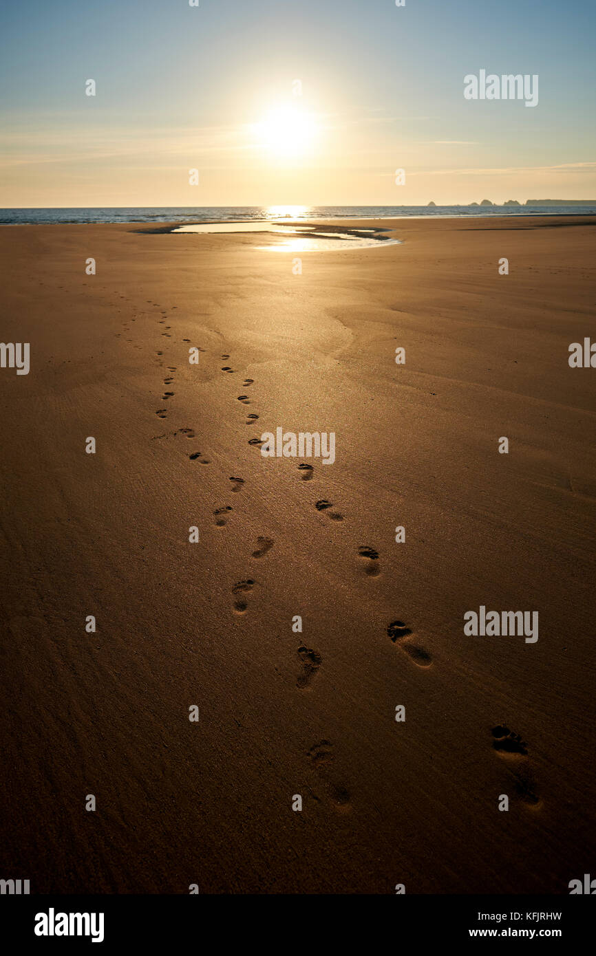 des paires de empreintes de pieds sur une plage de sable vide sur l' Côte Finistère en Bretagne France - ne laissez que des empreintes de pas Banque D'Images