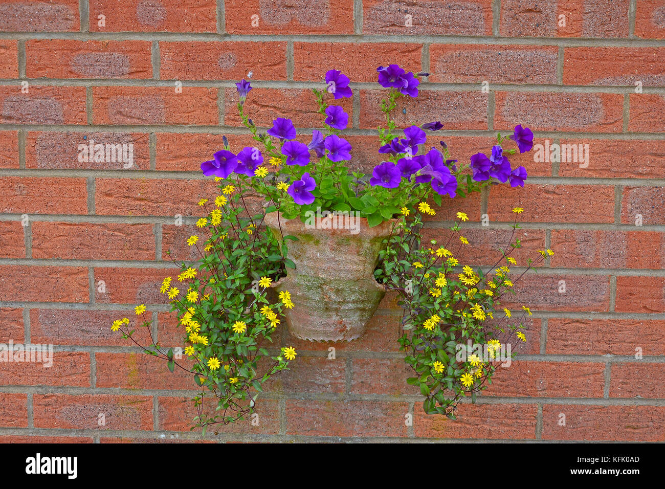 Une tenture murale colorée contenant avec jaune, fleurs violettes sur une brique rouge bckground Banque D'Images