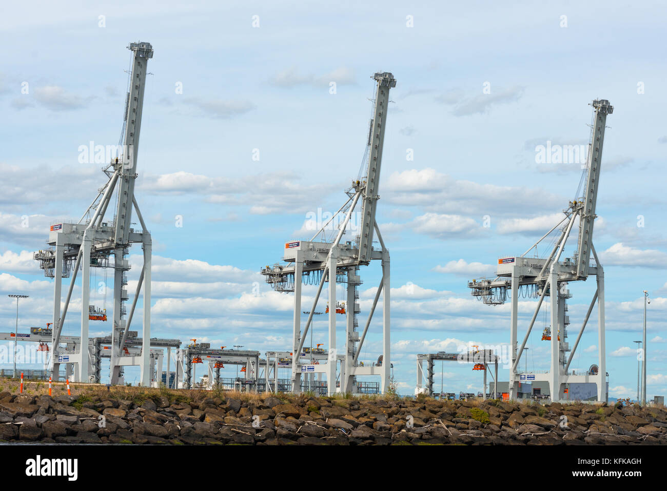 L'industrie du transport maritime de conteneurs / grues à quai dans le Port de Melbourne Victoria / Melbourne en Australie. Banque D'Images