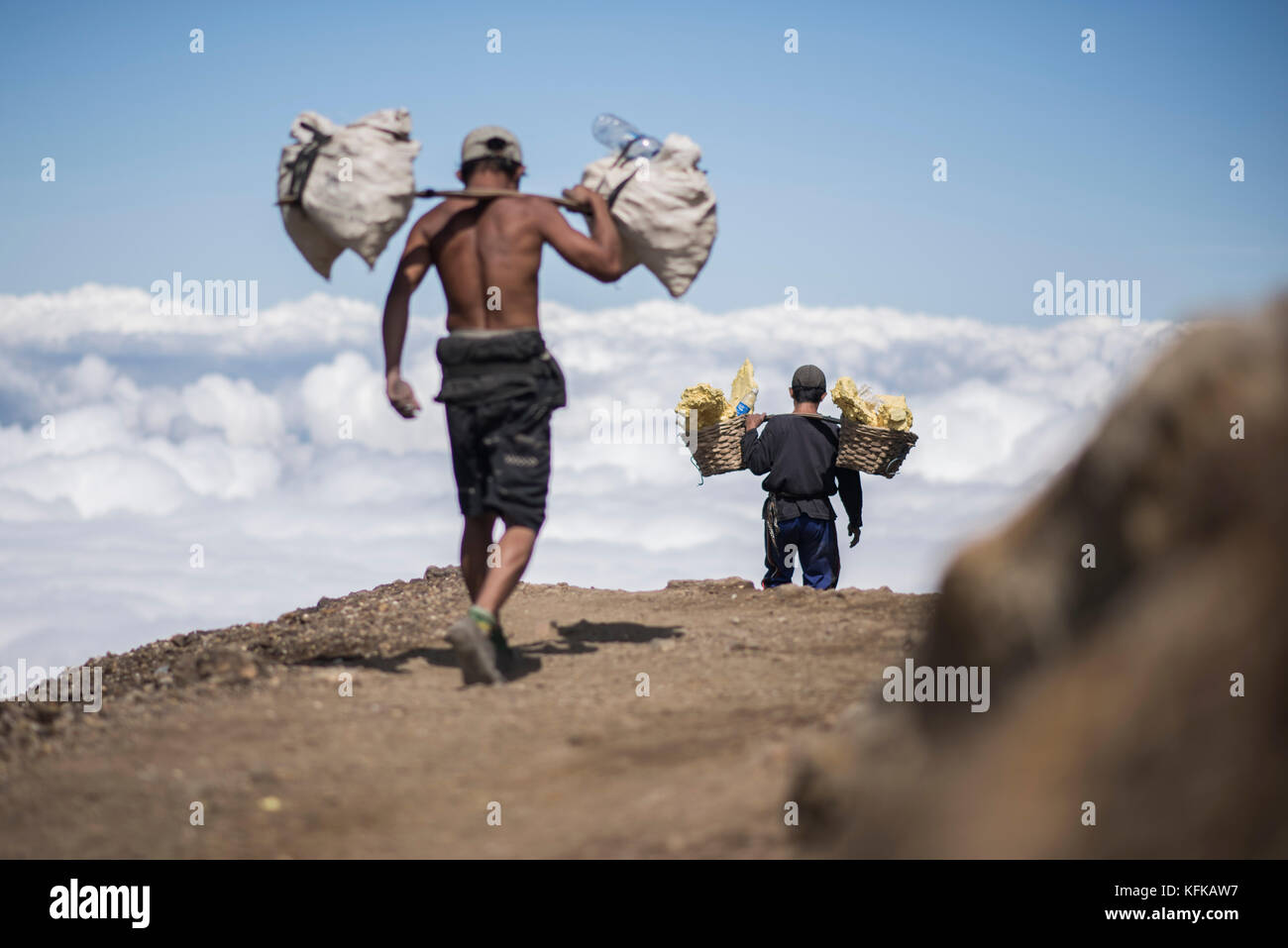 Les mineurs de soufre descendent du kawah ijen portant un panier plein de rochers de soufre, kawah ijen en Indonésie. Banque D'Images