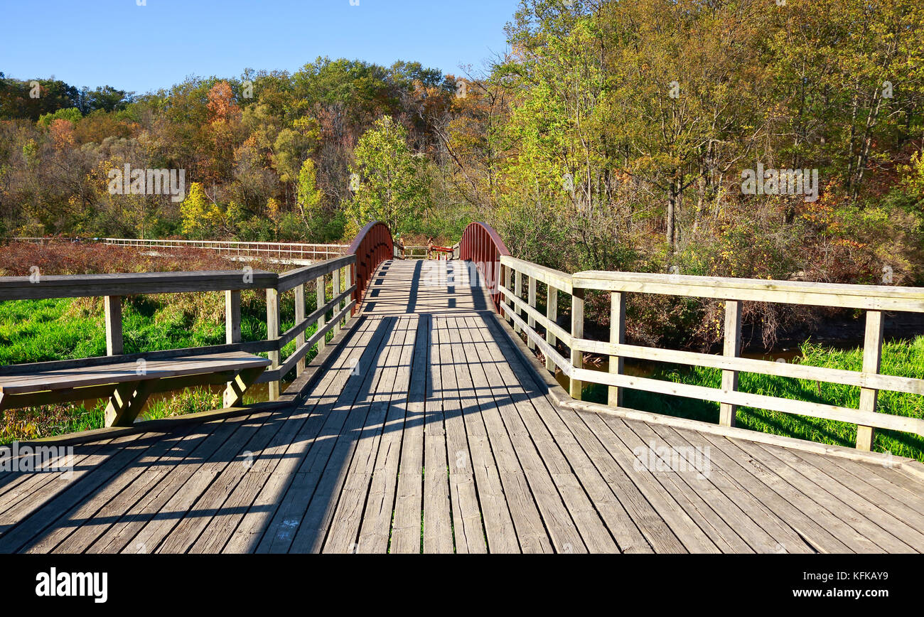 Sentier de randonnée promenade à travers la forêt et les marais dans les jardins botaniques royaux de Burlington et Hamilton, Ontario, Canada à l'automne Banque D'Images