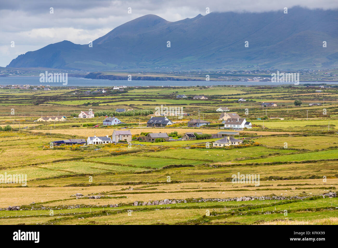 La côte sur la péninsule de Dingle, sur la côte sud-ouest de l'Irlande Banque D'Images