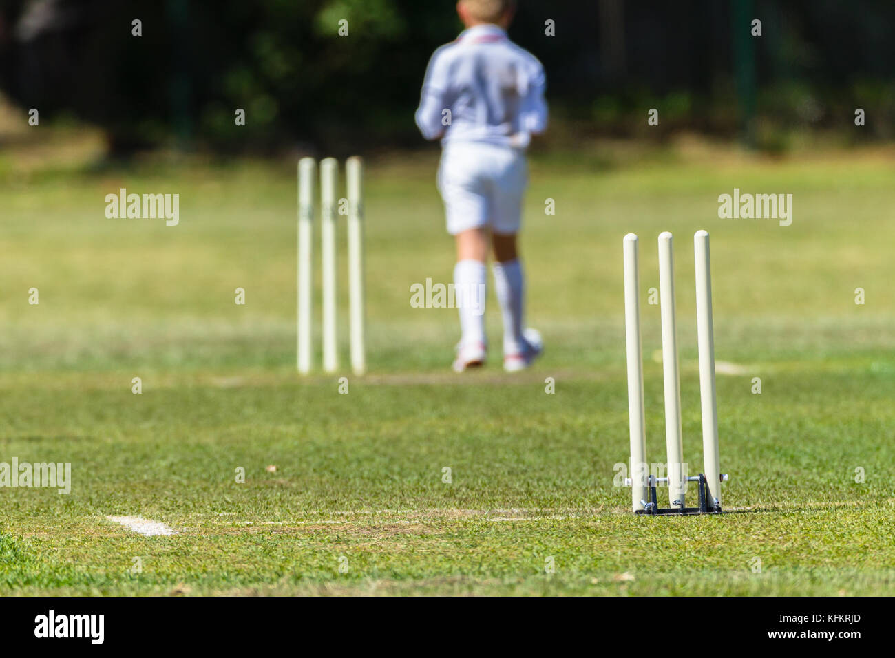 Terrain en gazon cricket wickets bowler joueur junior action non identifiés résumé. Banque D'Images