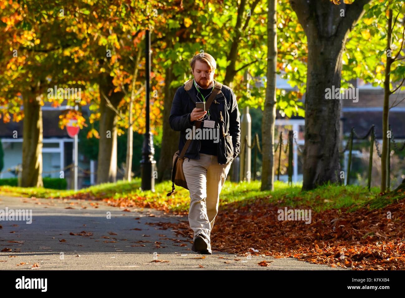 Dorchester, Dorset, UK. 30Th Oct, 2017. Météo britannique. Un piéton vêtu d'un manteau pour garder au chaud, les promenades le long des promenades du Sud à Dorchester, dans le Dorset grâce à l'avenue du marronnier d'arbres qui sont à la recherche d'automne très froid sur un matin ensoleillé. Crédit photo : Graham Hunt/Alamy Live News Banque D'Images