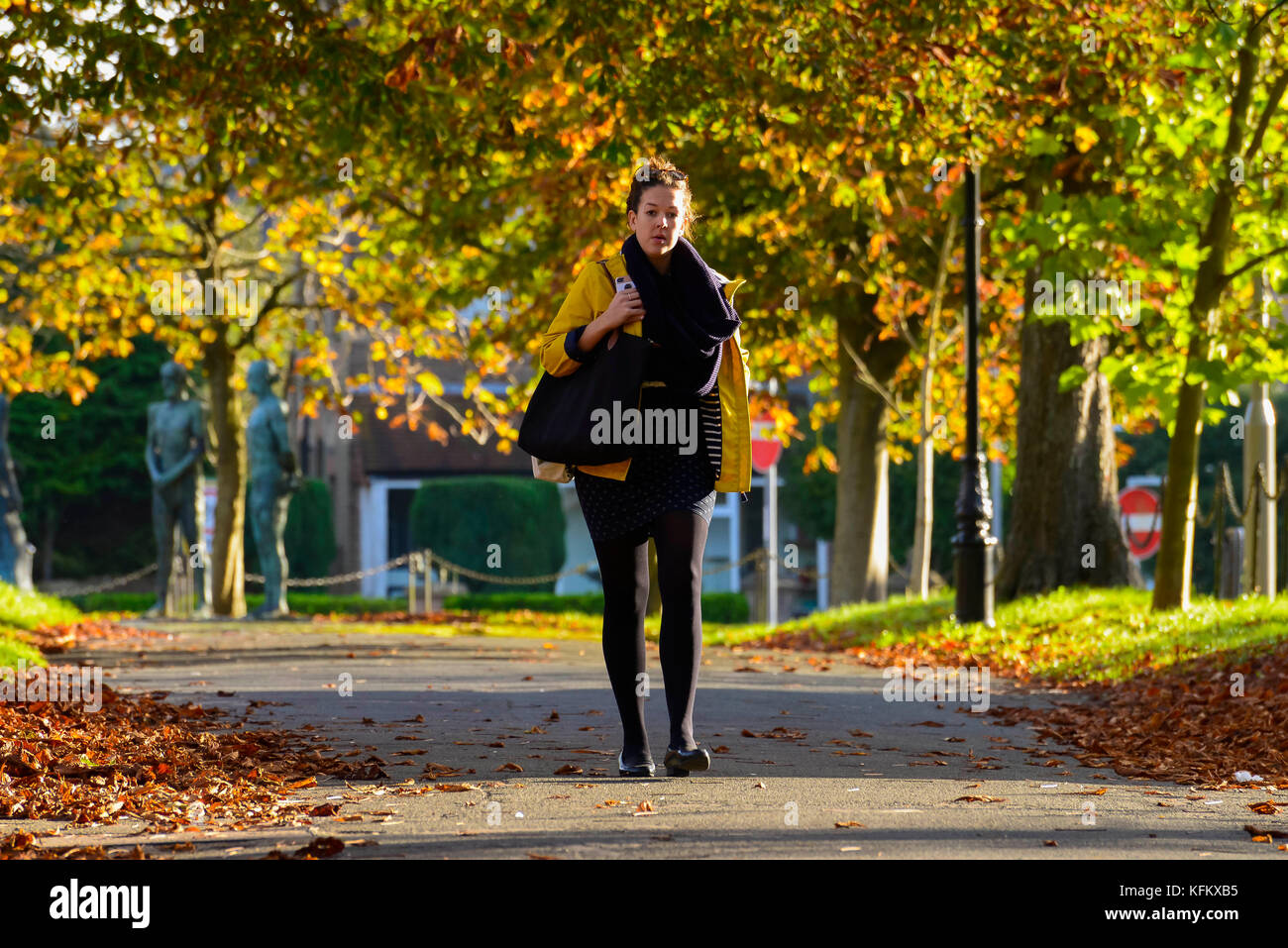 Dorchester, Dorset, UK. 30Th Oct, 2017. Météo britannique. Un piéton portant un manteau et un scalf pour garder au chaud, les promenades le long des promenades du Sud à Dorchester, dans le Dorset grâce à l'avenue du marronnier d'arbres qui sont à la recherche d'automne très froid sur un matin ensoleillé. Crédit photo : Graham Hunt/Alamy Live News Banque D'Images