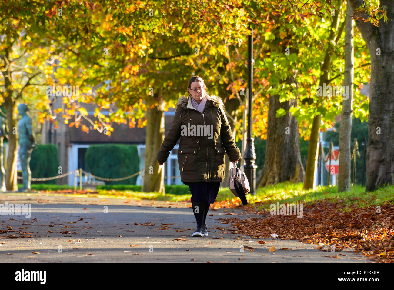 Dorchester, Dorset, UK. 30Th Oct, 2017. Météo britannique. Un piéton vêtu d'un manteau épais pour garder au chaud, les promenades le long des promenades du Sud à Dorchester, dans le Dorset grâce à l'avenue du marronnier d'arbres qui sont à la recherche d'automne très froid sur un matin ensoleillé. Crédit photo : Graham Hunt/Alamy Live News Banque D'Images