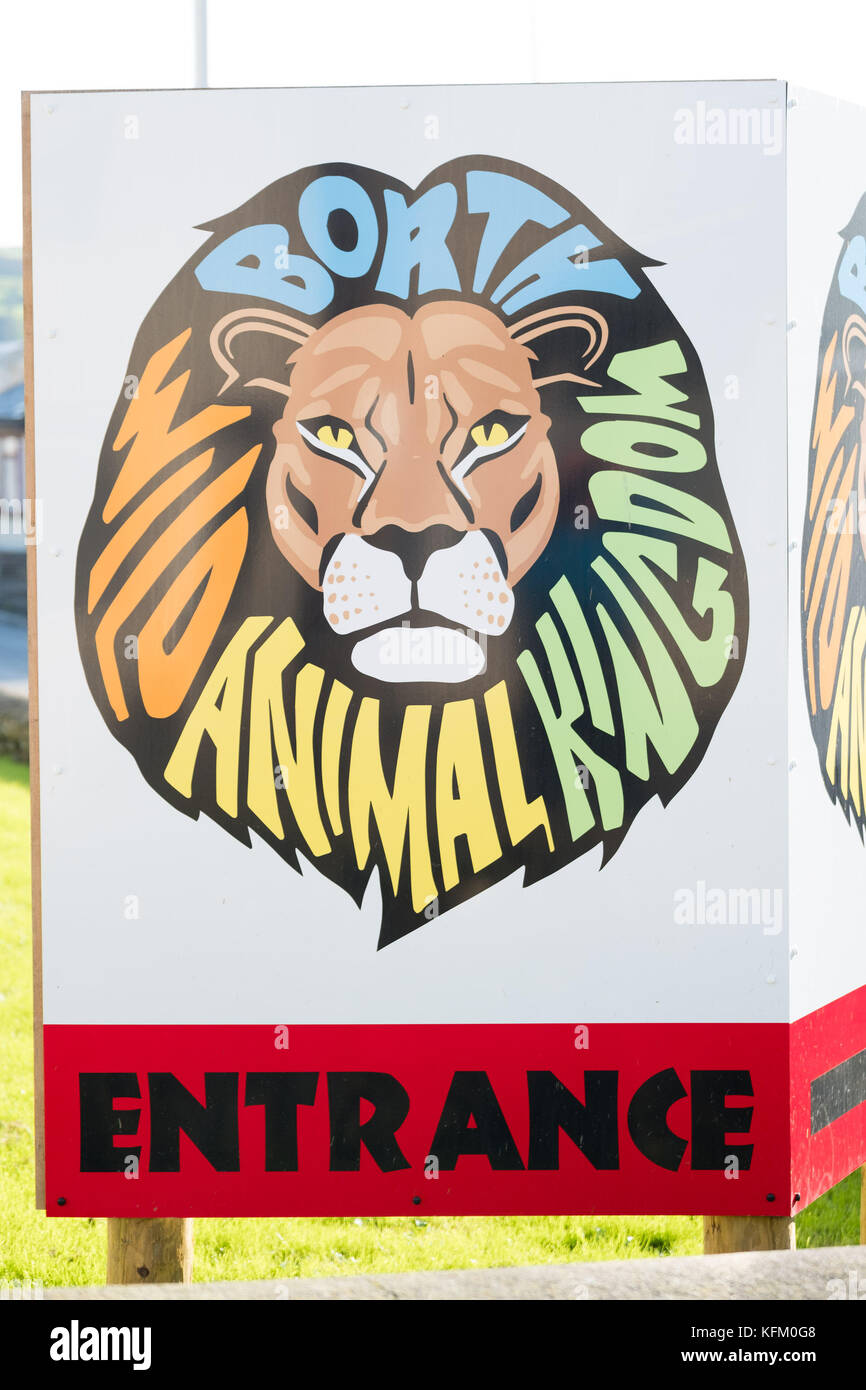 Ceredigon, pays de Galles. 30 octobre 2017. Borth Wild animal Kingdom, la recherche se poursuit pour LILLITH, un Lynx juvénile européen, (nom latin Lynx Lynx) qui s'est échappé de son enclos aux deux Wild animal Kingdom. Un hélicoptère de police équipé de caméras thermiques a repéré l'animal dans les sous-bois près du zoo en début de soirée hier, suscitant l'espoir que la créature soit tombée au sol près de sa photo crédit : keith morris/Alamy Live News Banque D'Images