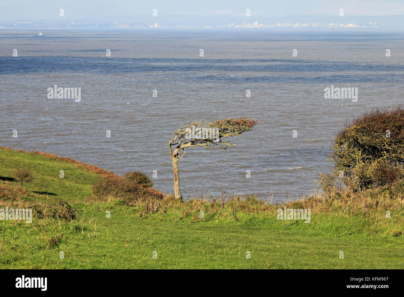 Promenade côtière brean down, Angleterre - le 28 octobre 2017 : grand monuments de la côte du Somerset sur la pittoresque promenade côtière brean down ensemble. Banque D'Images