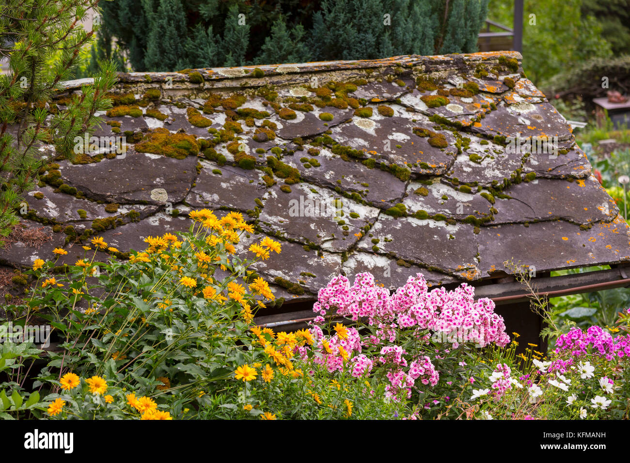 St niklaus., Suisse - fleurs en fleur et un toit en ardoise. Banque D'Images