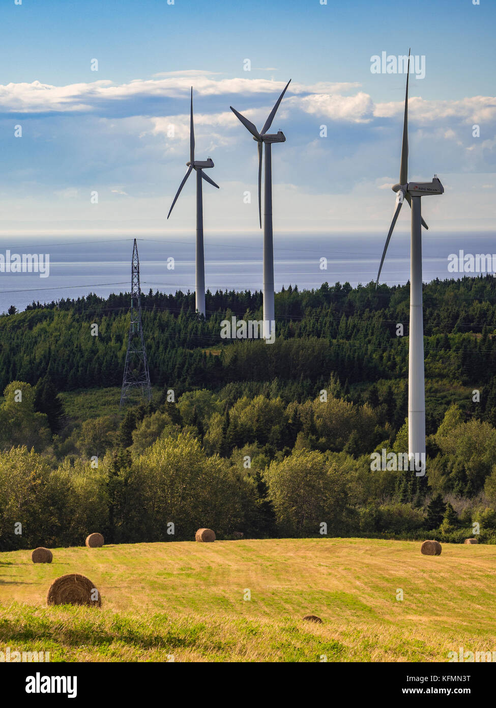 Wind farm, Le Nordais Parc moulin à vent wind Generation Station, village de Cap-Chat, Gaspésie, Québec, Canada Banque D'Images