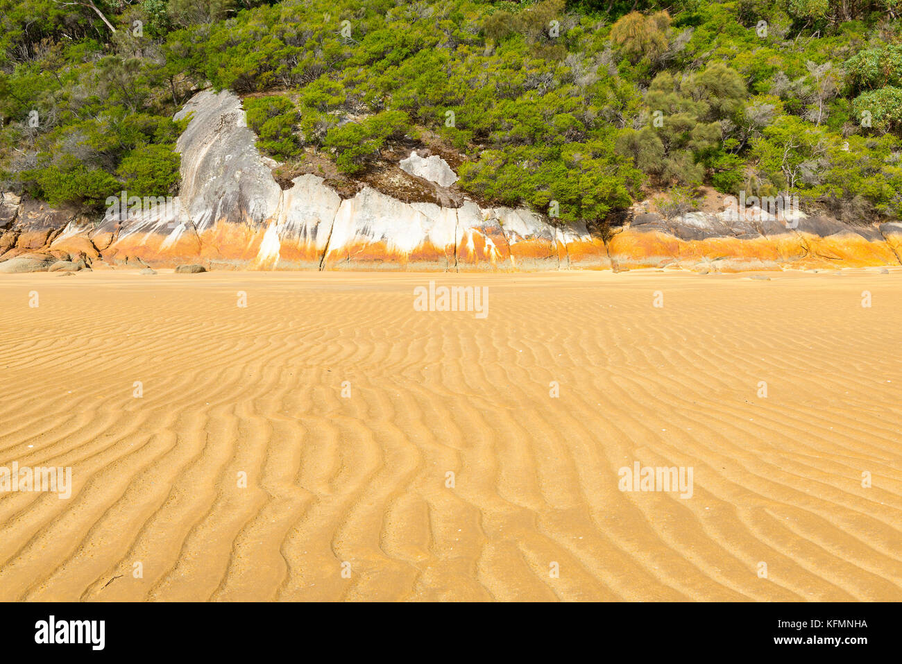 Les modèles de sable marécageux sur le littoral du littoral avec des rochers et une forêt arrière-plan Banque D'Images