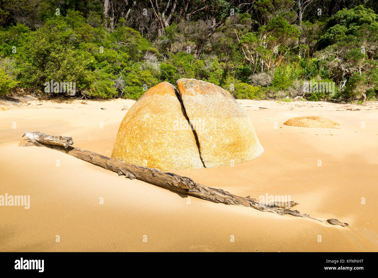 Scinder la roche de granit et le bois flotté dans le sable sur la côte forestière Banque D'Images