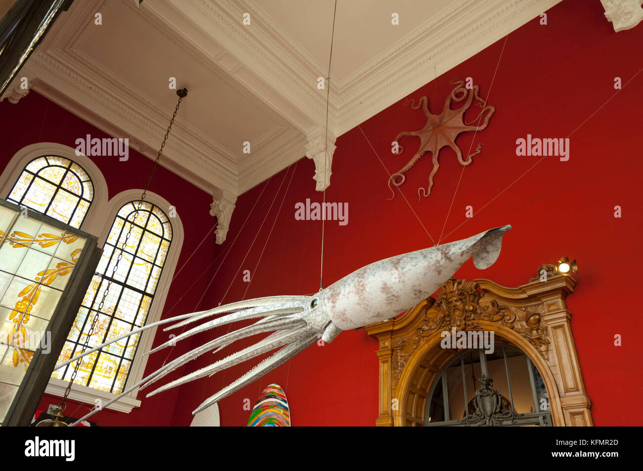Calmar géant à l'entrée de l'Aquarium de Monaco Banque D'Images