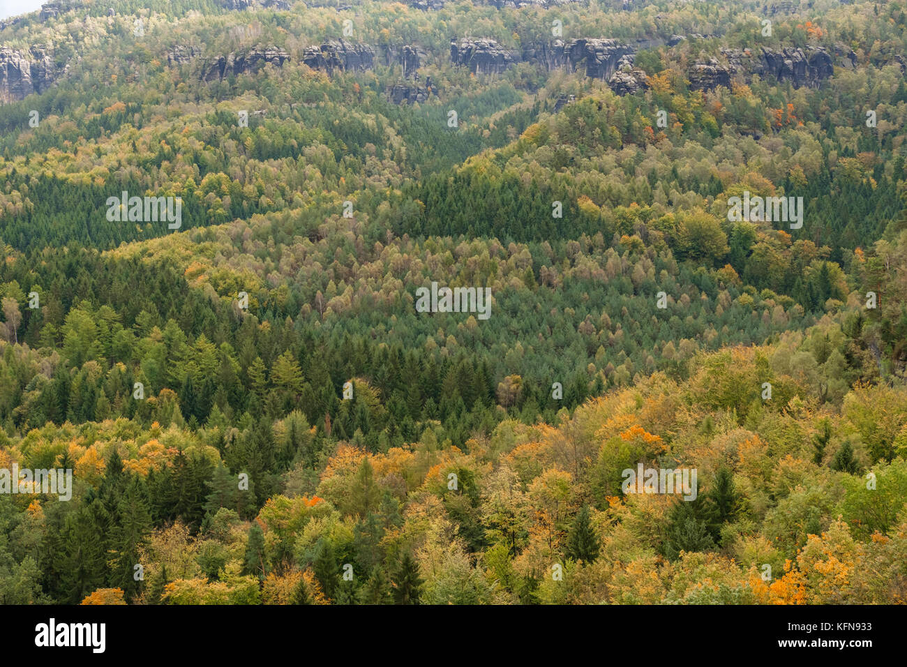 Im Herbst Elbsandsteingebirge Région Bad Schandau Schrammsteine Banque D'Images