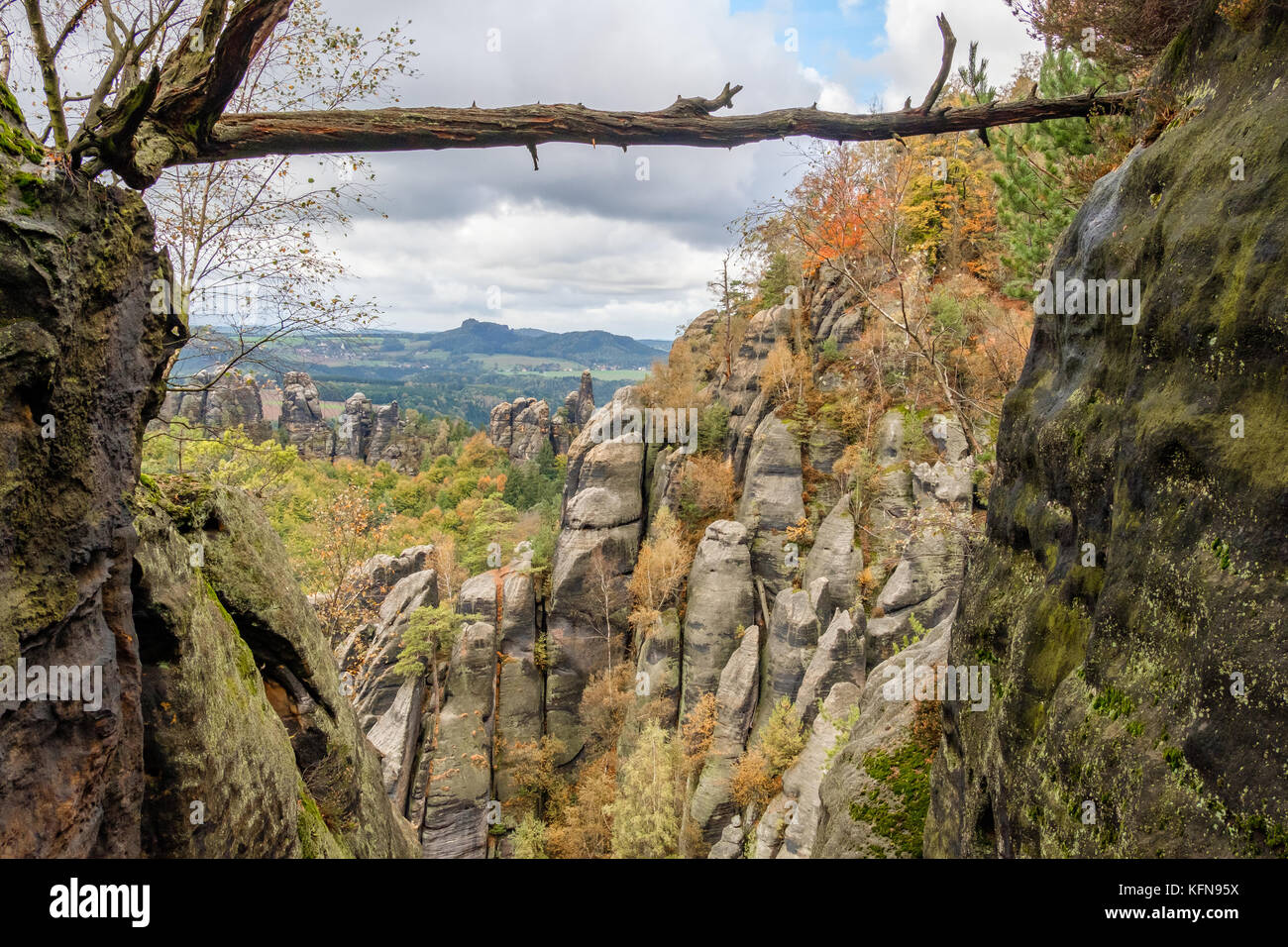 Im Herbst Elbsandsteingebirge Région Bad Schandau Schrammsteine Banque D'Images