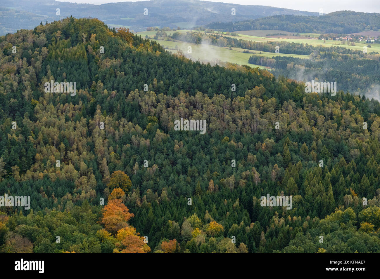 Im Herbst Elbsandsteingebirge Région Bad Schandau Schrammsteine Banque D'Images