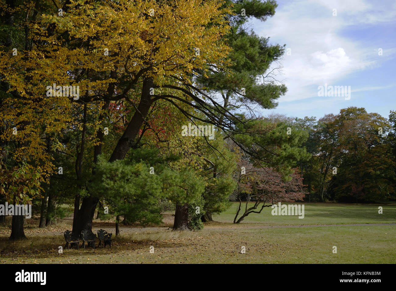 La couleur d'automne dans le jardin de Glenmont Estate la maison de Thomas Edison à l'intérieur de Llewellyn Park à West Orange, New Jersey, Etats-Unis Banque D'Images