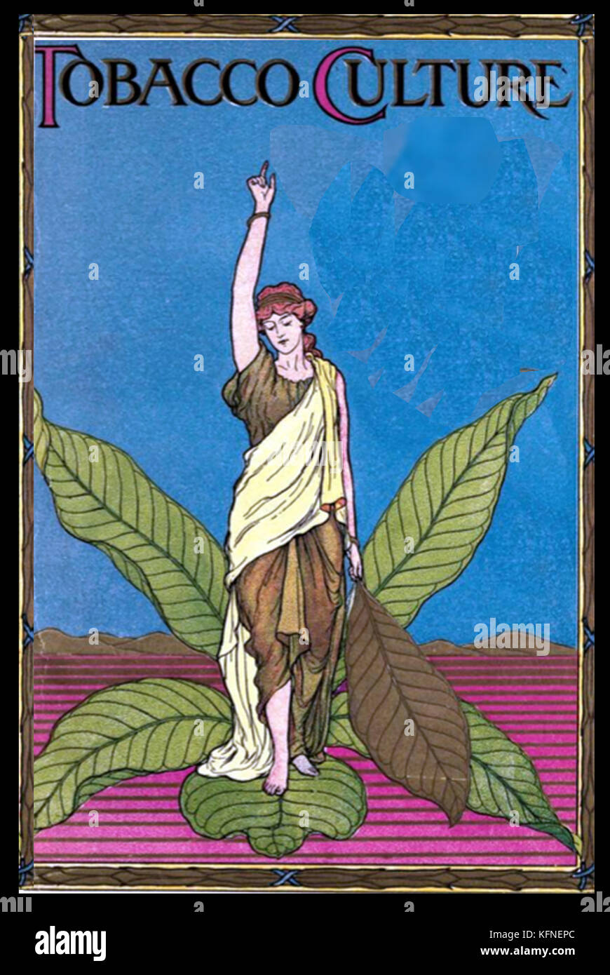 C1905 - Tabac 'Culture', une illustration d'une couverture de livre américain. Banque D'Images