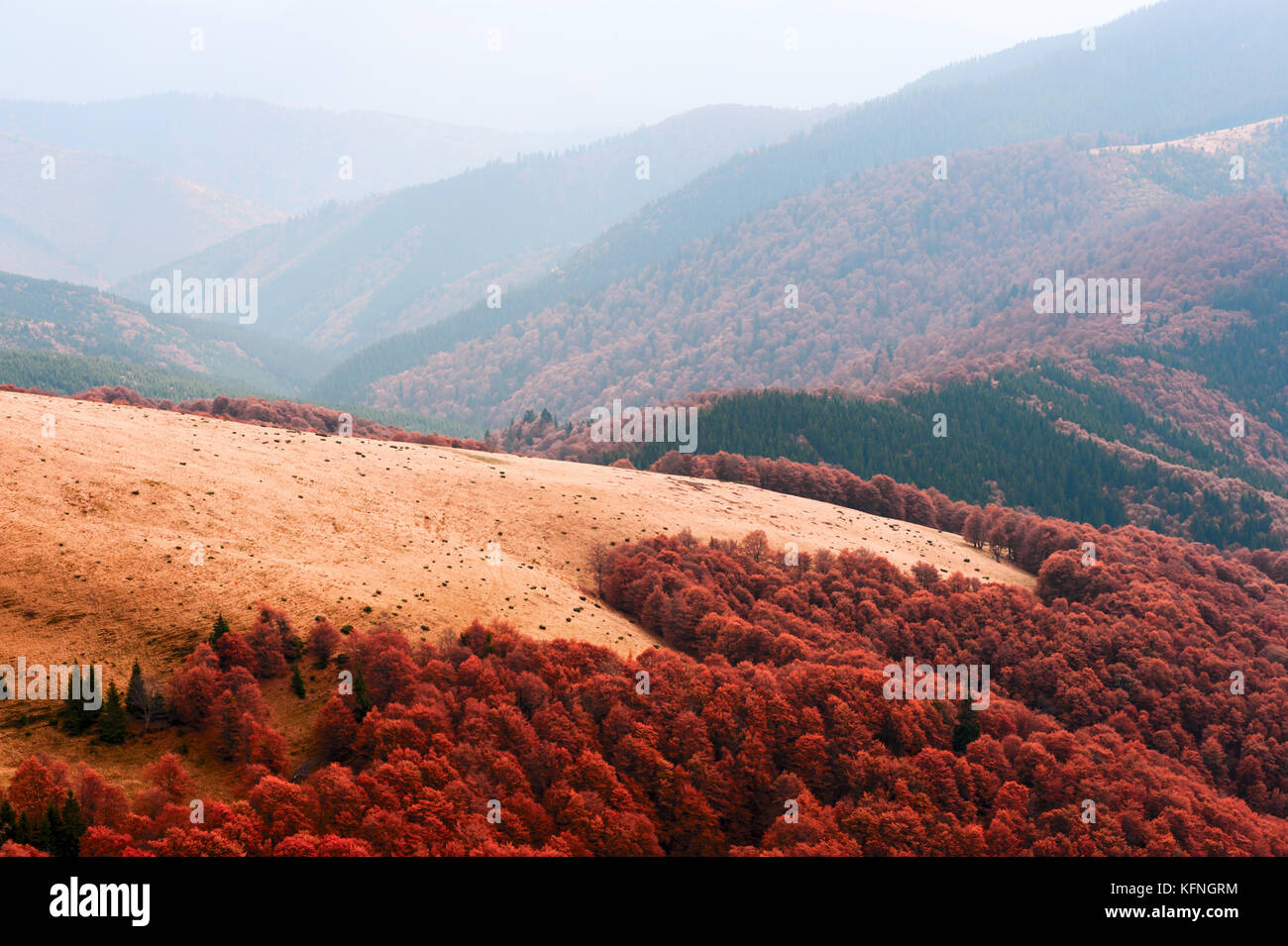 Paysage d'automne fantastique Banque D'Images