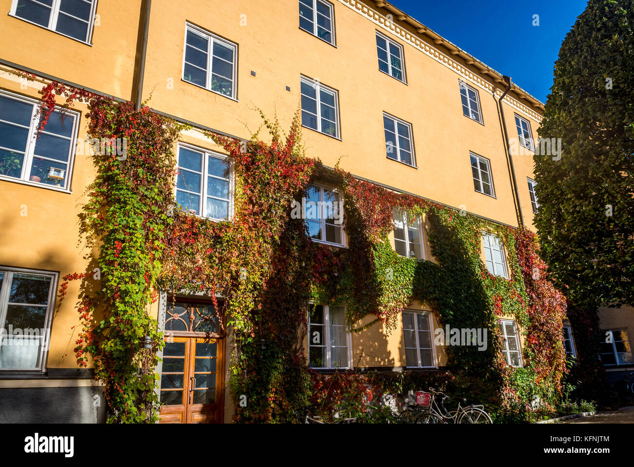 Coopérative de logements destinés aux familles ouvrières construite en 1926 en style néo-classique autour d'un jardin commun, Södermalm, à Stockholm, Suède Banque D'Images