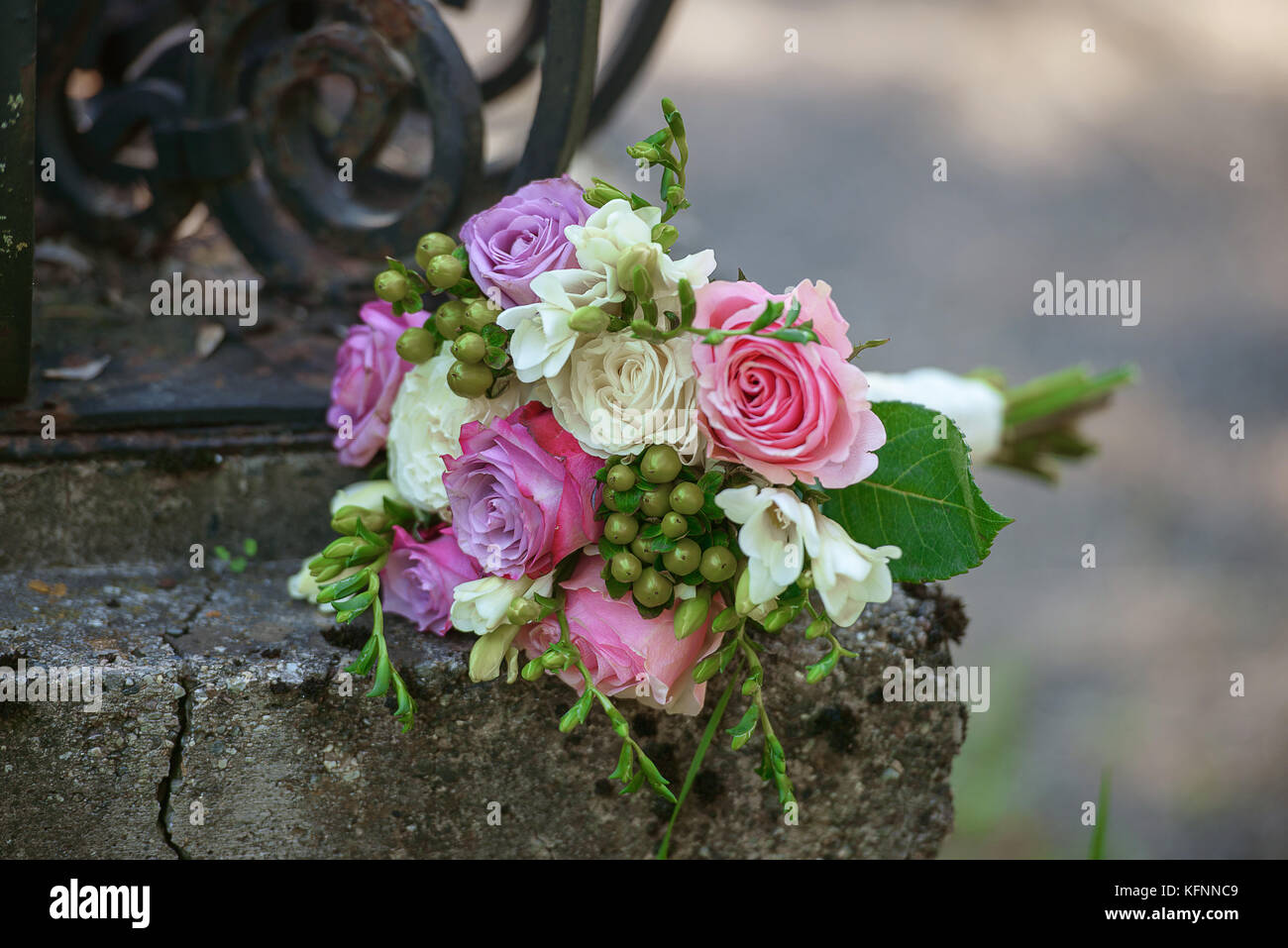 Et les baies roses bouquet placé sur un cadre rustique, vieille clôture de fer sous couvert de lumière avec arrière-plan flou Banque D'Images