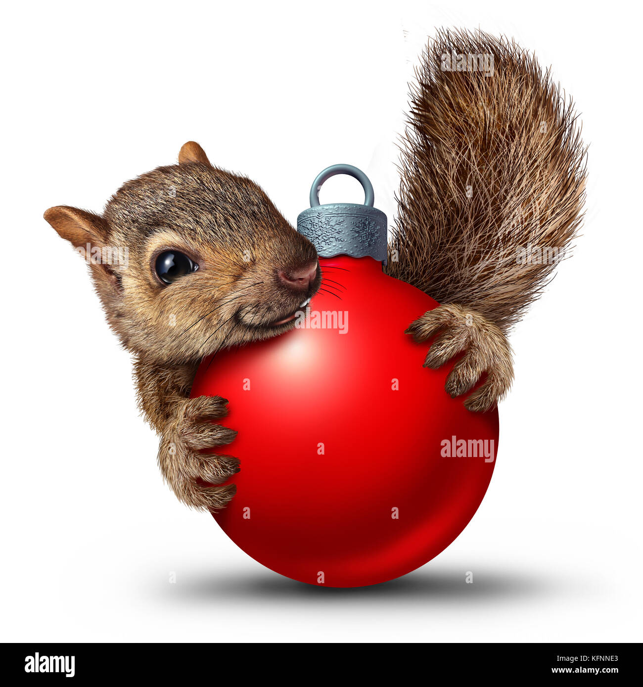 Écureuil mignon de noël avec un ornement de boule de vacances de noël comme symbole de célébration d'hiver sur un fond blanc avec des éléments de rendu 3D. Banque D'Images