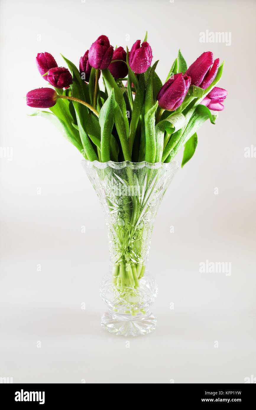 Fleurs de tulipe avec des gouttes de rosée dans vase de cristal. Banque D'Images