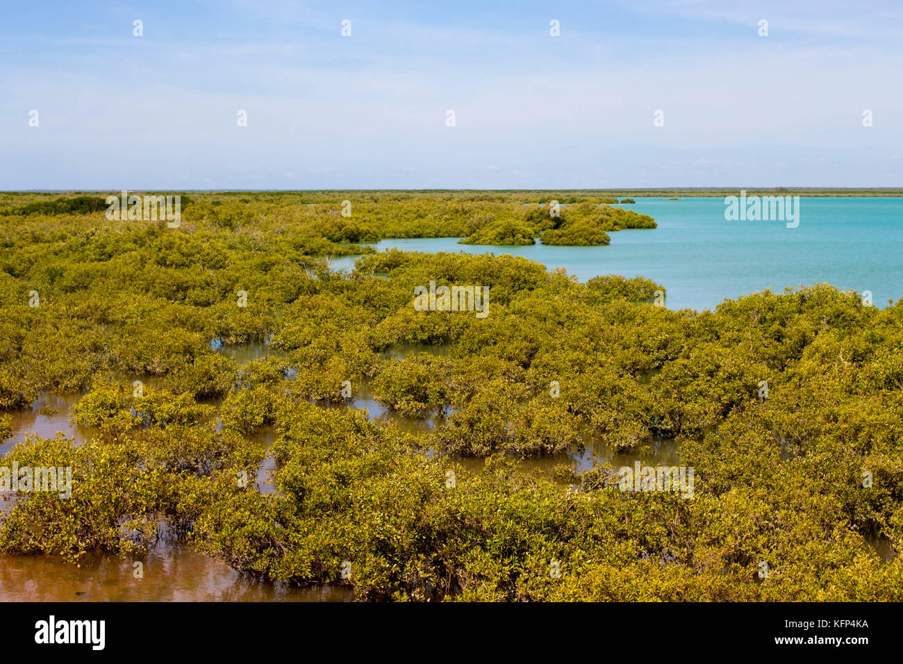 Roebuck Bay dans la région de Broome , le nord-ouest de l'Australie, avec les bas fonds vaseux dans la vie marine abondante avec de grandes marées, les mangroves, les falaises rouges et les marées. Banque D'Images