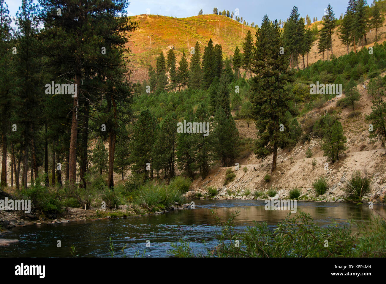 Vue panoramique de l'embranchement nord de la rivière de Boise en Idaho, USA Banque D'Images