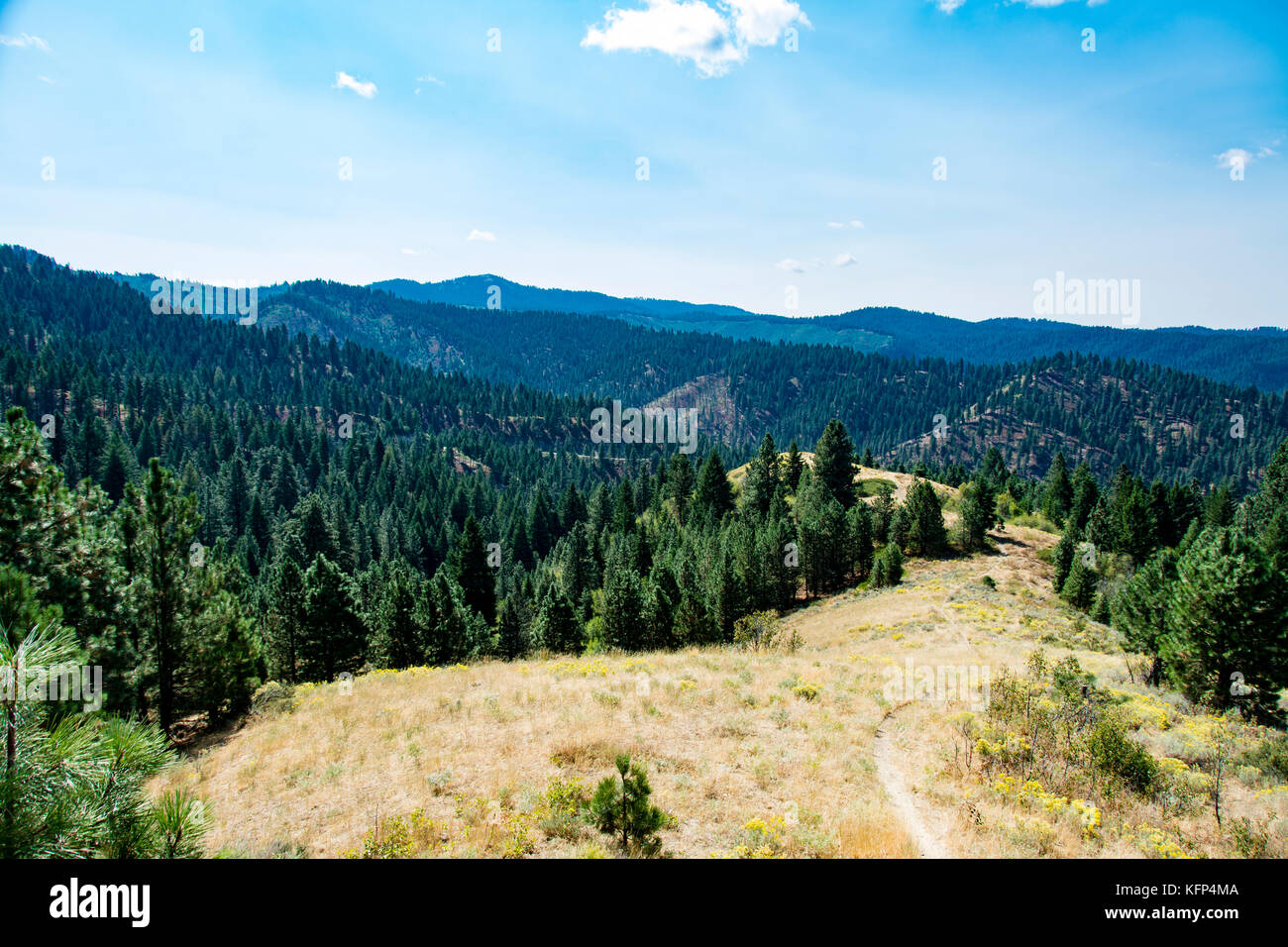 Vue panoramique de la Forêt Nationale de Boise en Idaho, USA Banque D'Images