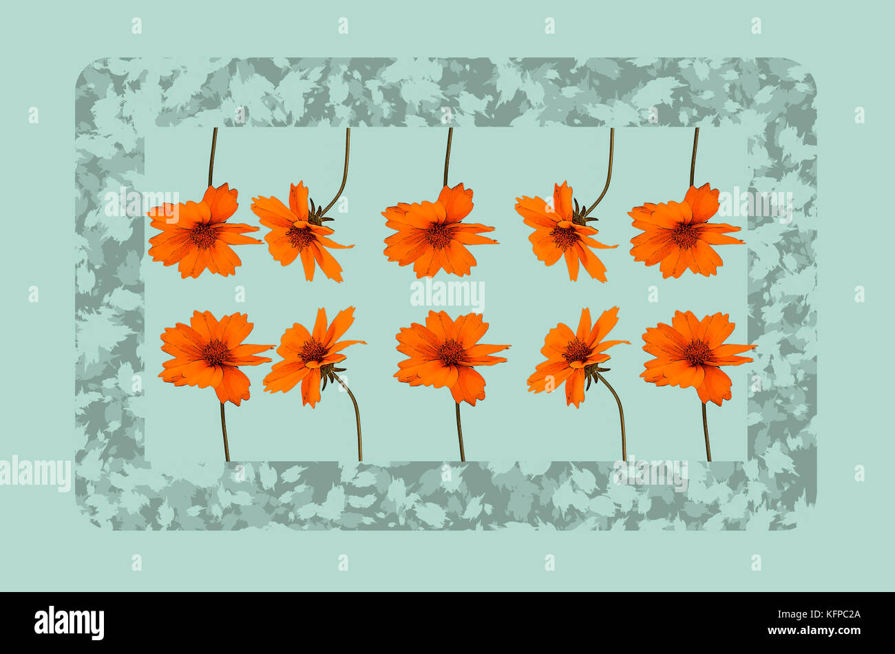 Illustration de meadow rouge avec cadre fleurs sur fond clair Banque D'Images