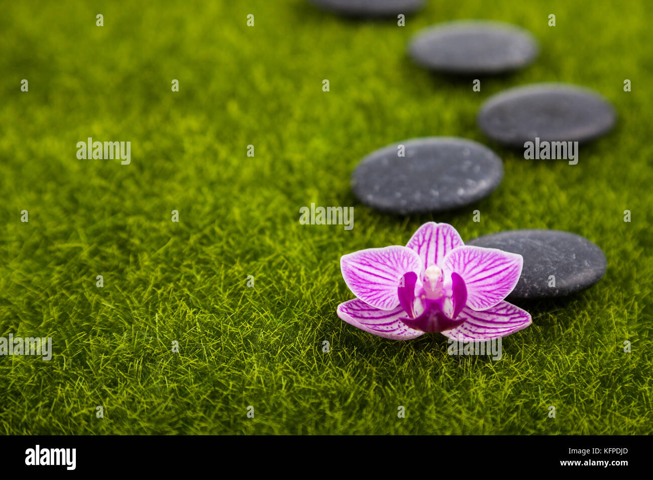 Des soins spa sur table en bois et pierres. spa orchid on Green grass close-up. Banque D'Images