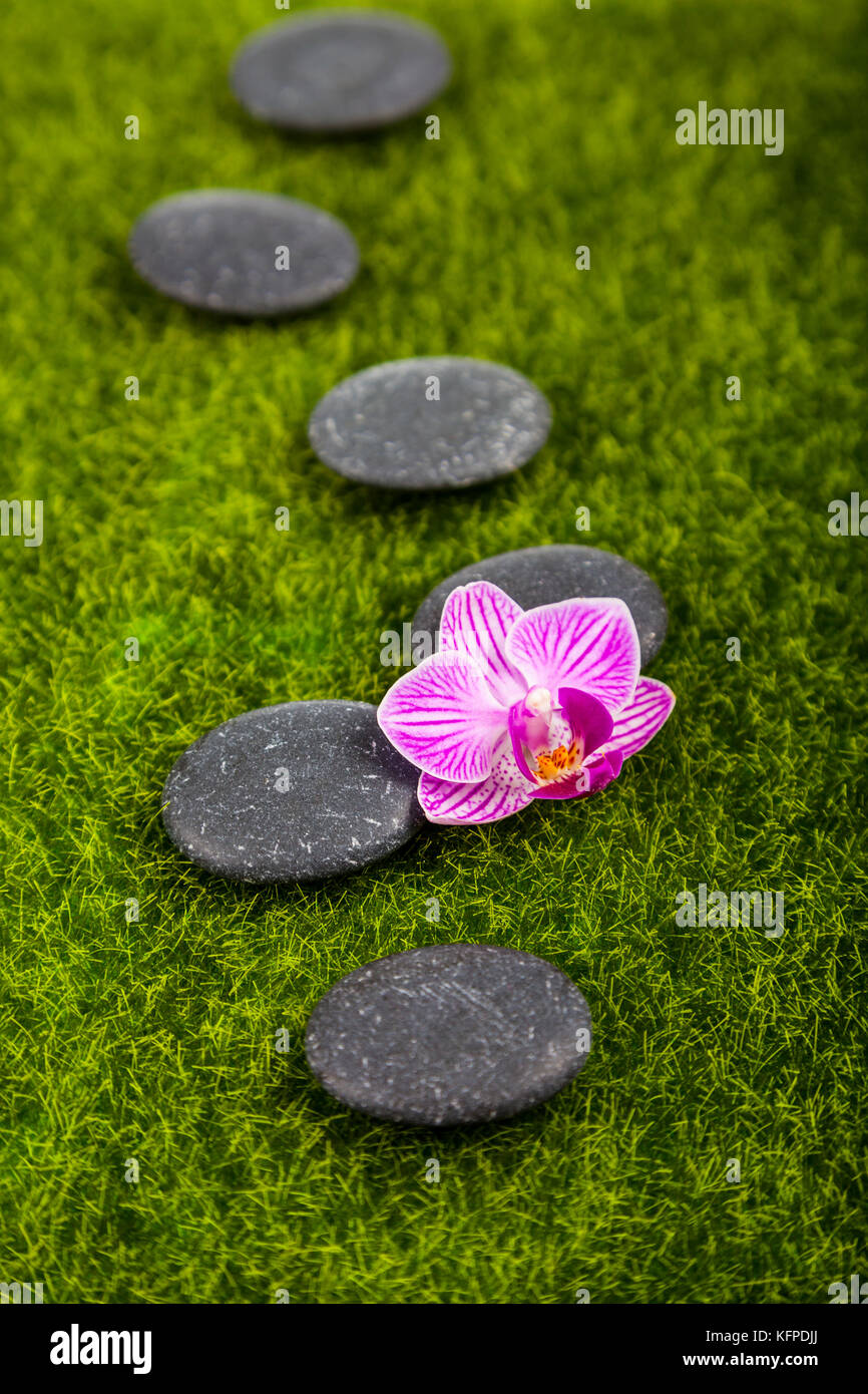 Des soins spa sur table en bois et pierres. spa orchid on Green grass close-up. Banque D'Images