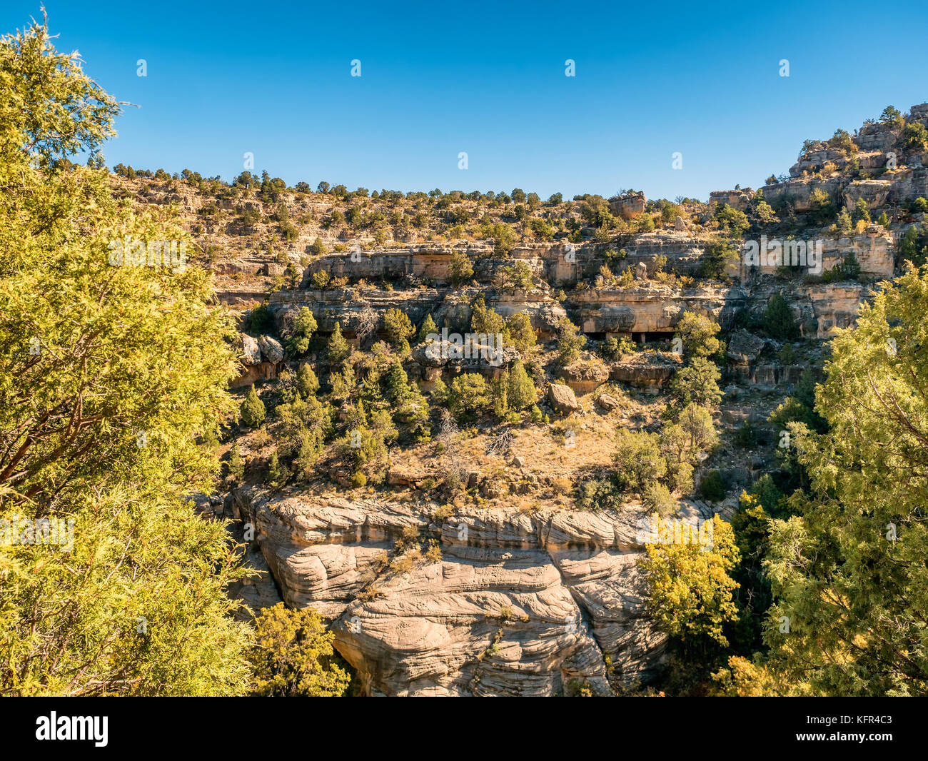 Logements des Walnut Canyon National Monument près de Flagstaff, Arizona US Banque D'Images