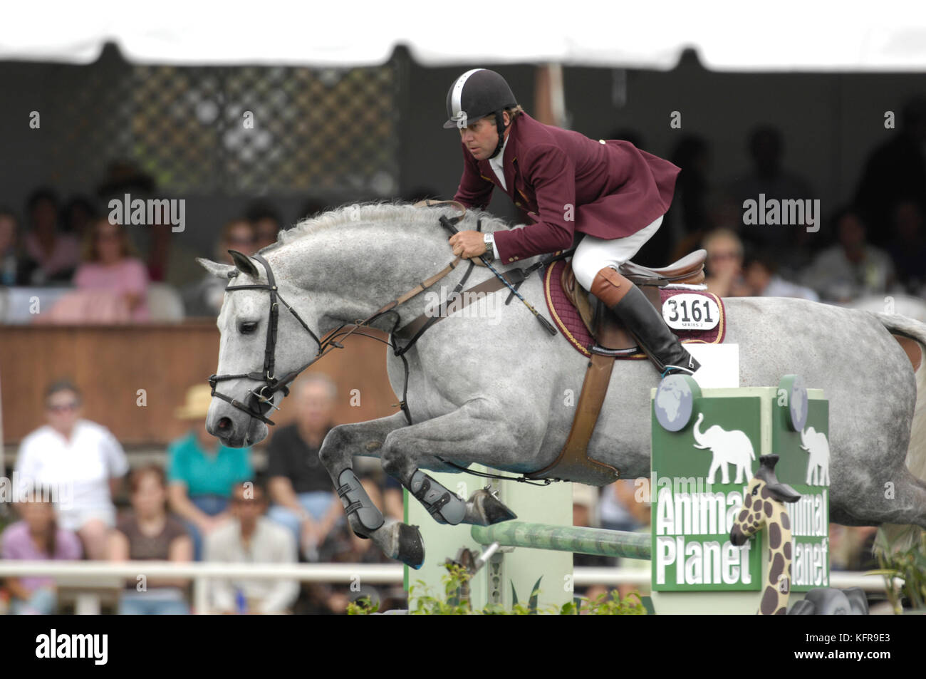 Nick Skelton (GBR) équitation, Russel Winter Equestrian Festival de Wellington, Floride, mars 2007, LLC Masters Cup Banque D'Images