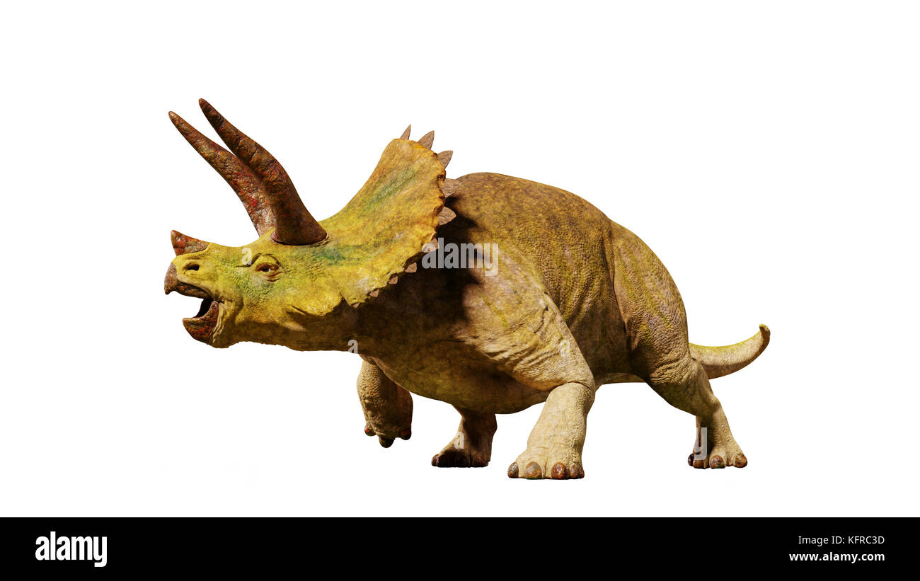 Dinosaure Triceratops horridus de l'ère jurassique (rendu 3d isolé sur fond blanc) Banque D'Images
