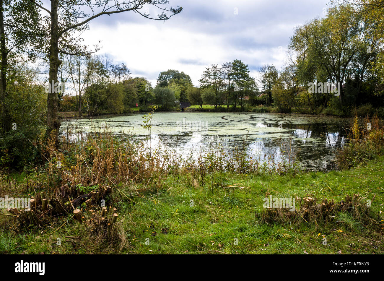 Une vue sur le lac Supérieur à tonne en Afrique du Staffordshire près de Wolverhampton. Banque D'Images