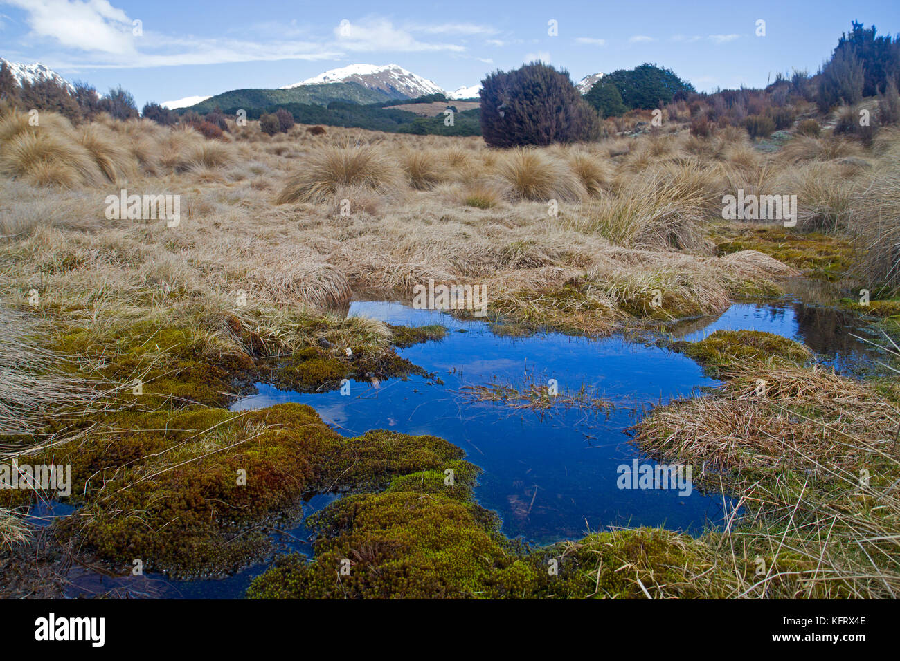 Tarn sur bealey spur dans Arthur's pass national park Banque D'Images