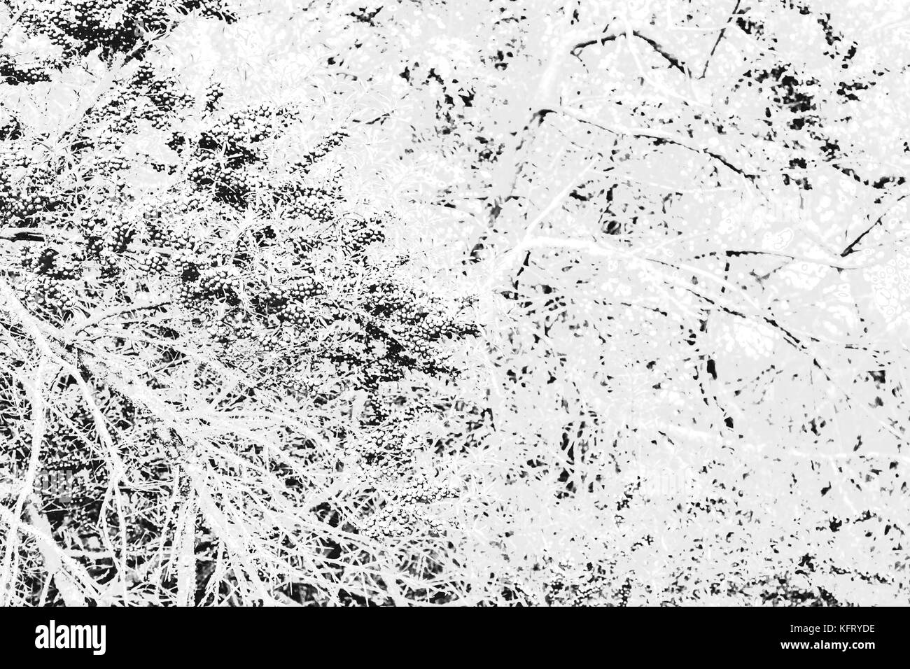 Surreal abstract grunge fond monochrome stylisée Banque D'Images
