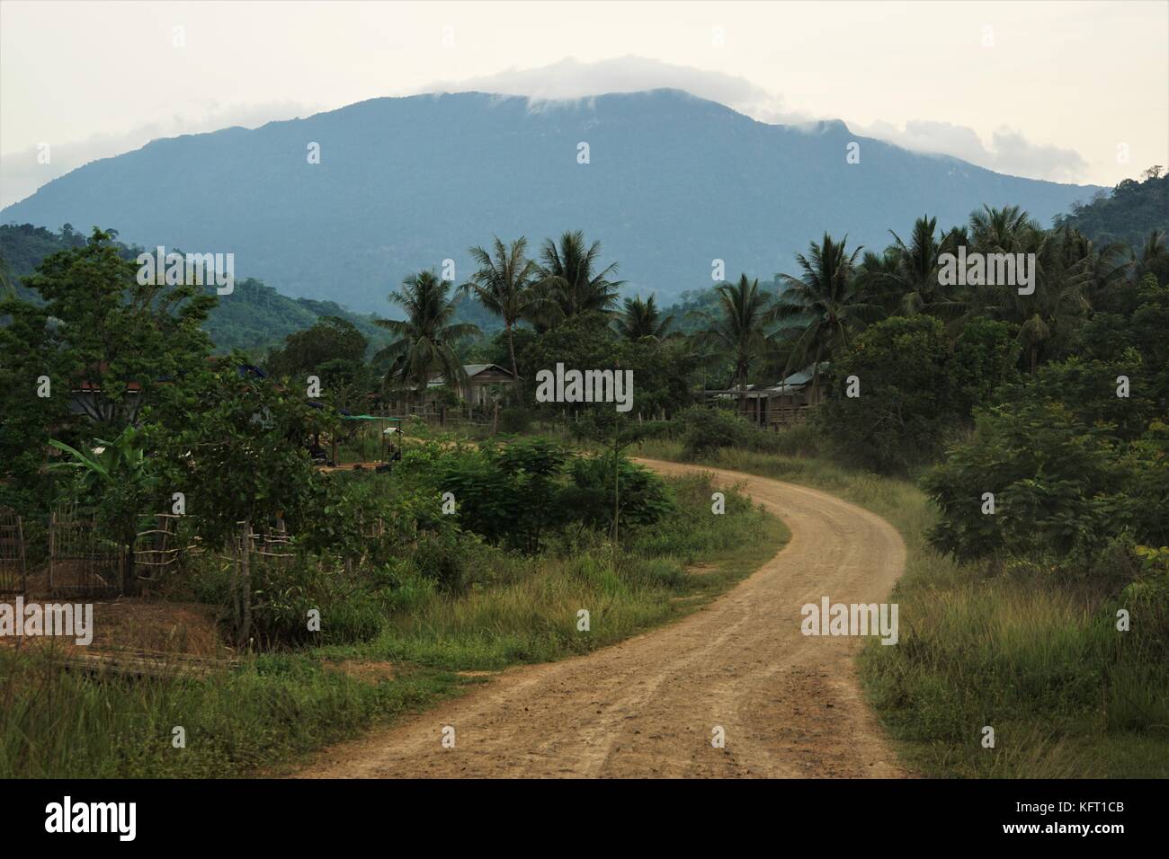 Paysage cambodgien avec palmiers et cocotiers / une montagne Banque D'Images