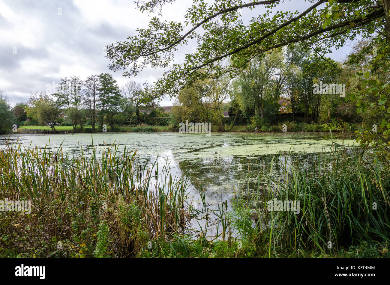 Une vue sur le lac Supérieur à tonne en Afrique du Staffordshire près de Wolverhampton. Banque D'Images