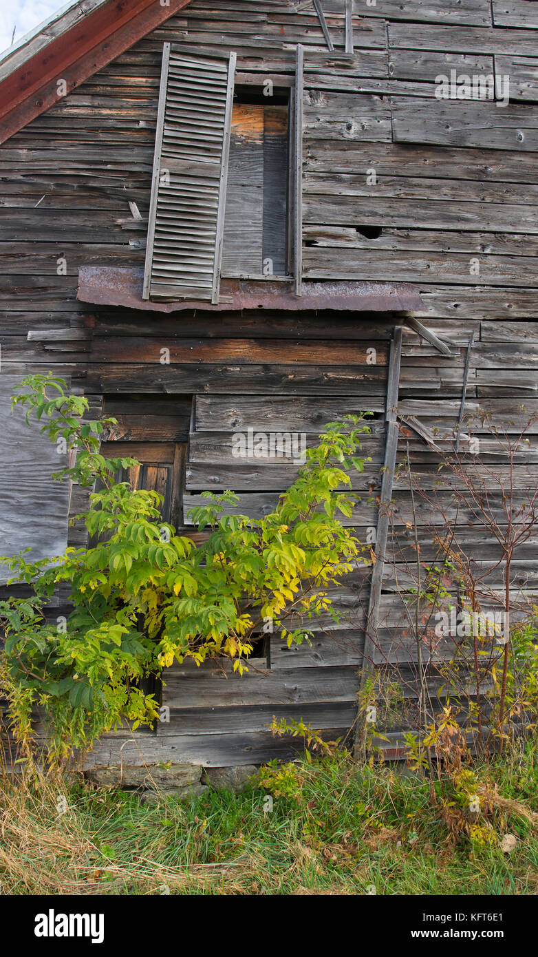 Une grange abandonnée (1800) sur une exploitation agricole dans les régions rurales de moretown, Vermont, Etats-Unis Banque D'Images