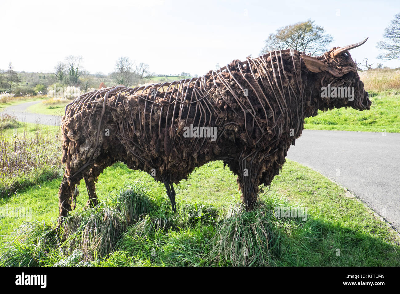 Dans le jardin sauvage, est 'le' Tarw taureau noir gallois, sculpture,par Sally Matthews.Jardin Botanique National du Pays de Galles, Llanarthe,Carmarthenshire, Pays de Galles, Royaume-Uni, Banque D'Images