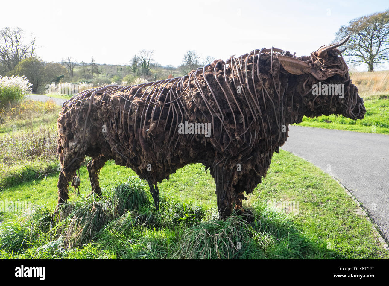 Dans le jardin sauvage, est 'le' Tarw taureau noir gallois, sculpture,par Sally Matthews.Jardin Botanique National du Pays de Galles, Llanarthe,Carmarthenshire, Pays de Galles, Royaume-Uni, Banque D'Images